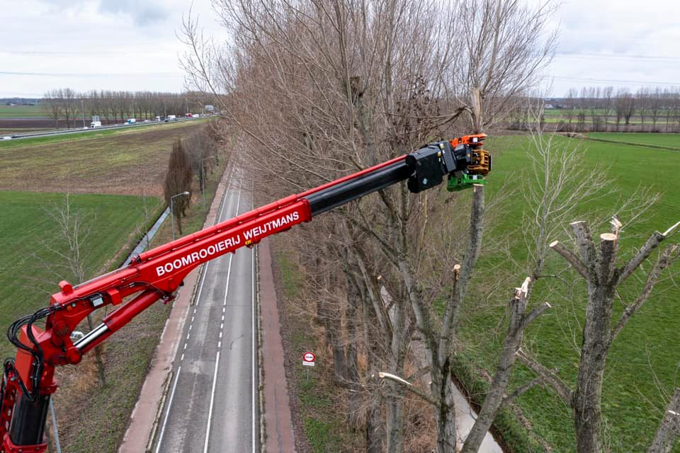 Snoeiwerk Geertruidenberg - Foto 28