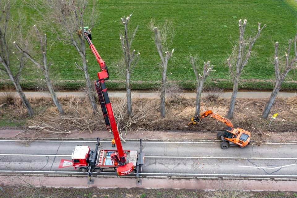 Snoeiwerk Geertruidenberg - Foto 29