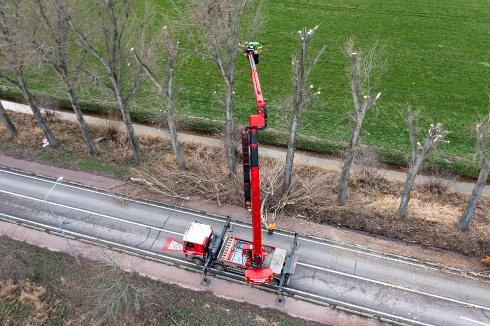 Snoeiwerk Geertruidenberg - Foto 30