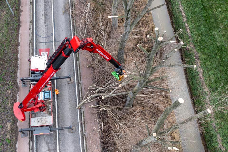 Snoeiwerk Geertruidenberg - Foto 31