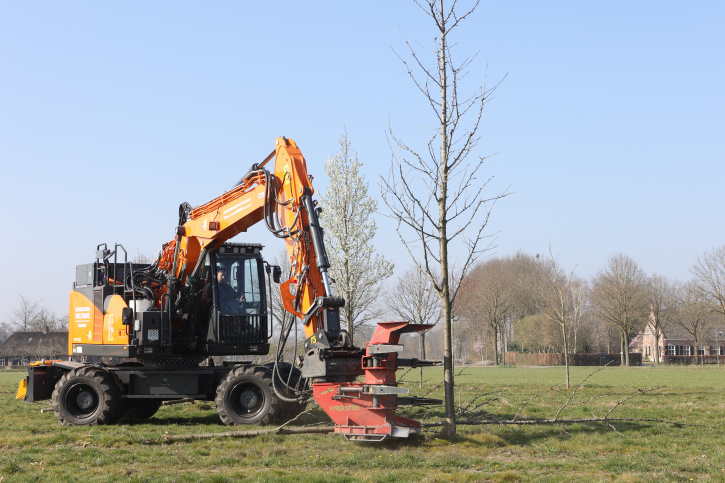 Perceel boomkwekerij elektrisch gerooid - Foto 3