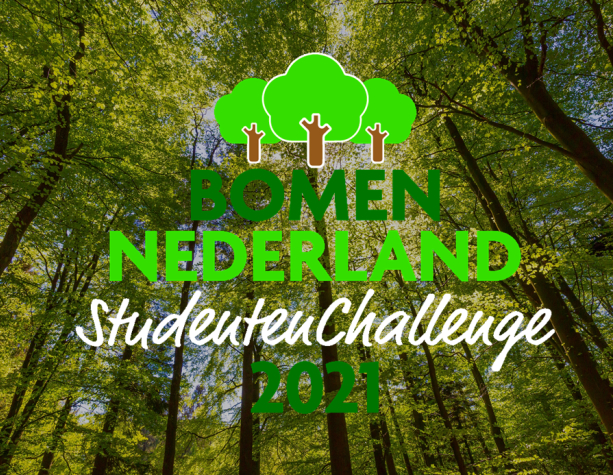 We hebben ze binnen: 7 briljante ideeën!