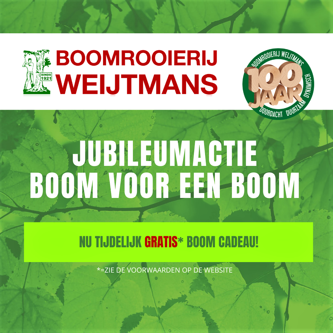 Jubileumactie: Boom voor een Boom