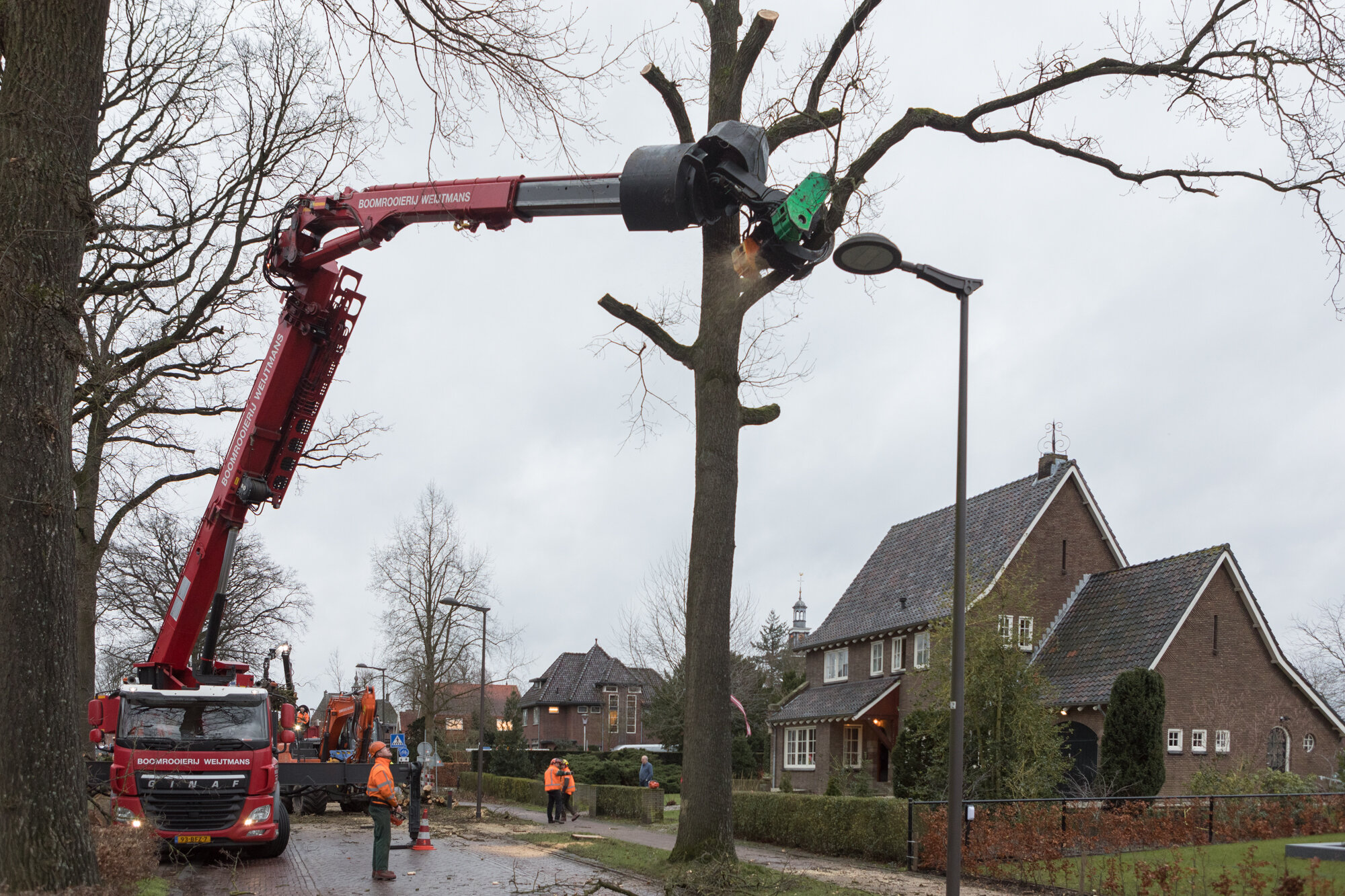 Herstel laanstructuur Schoorstraat Udenhout