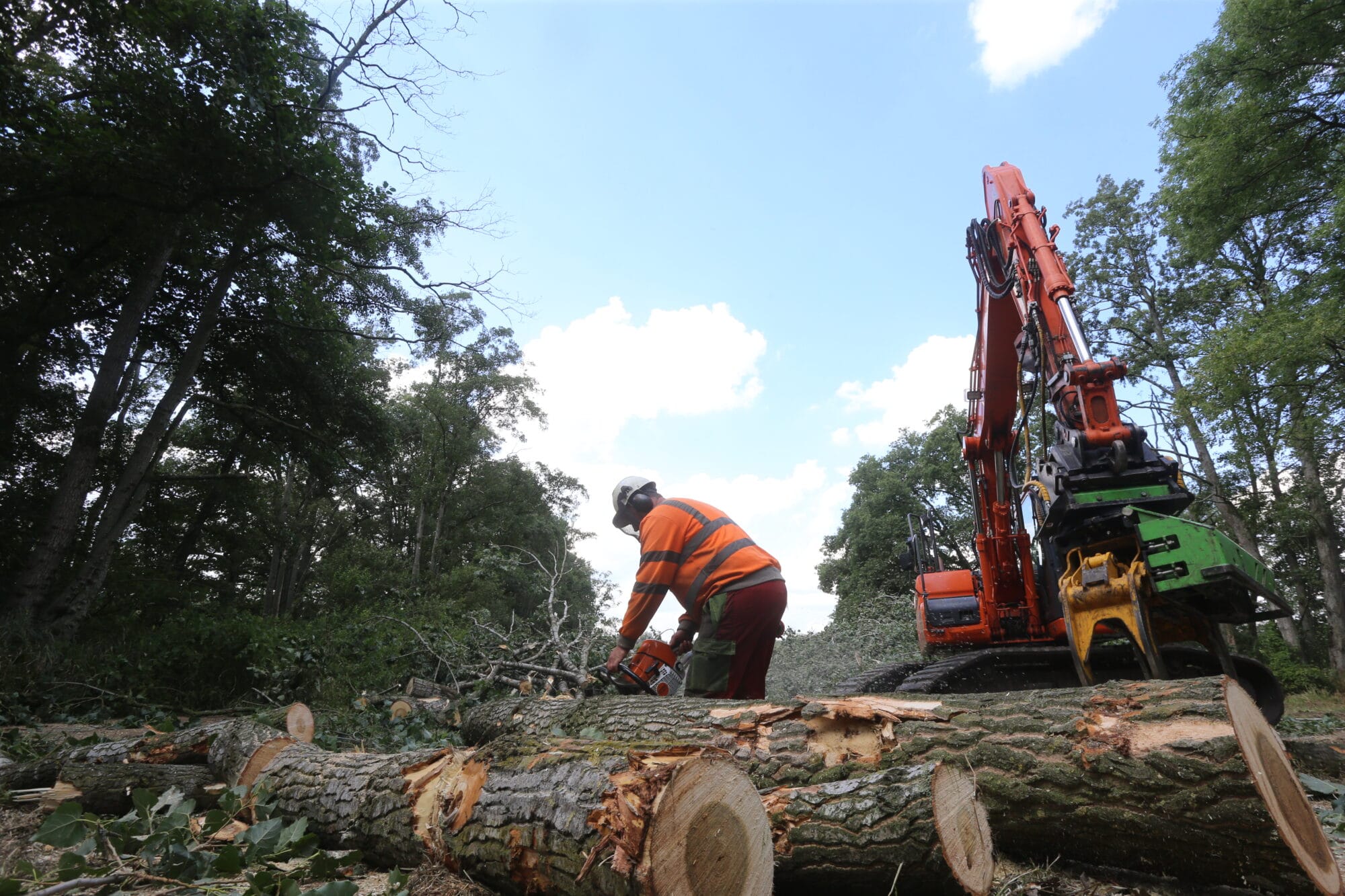 Renovatie natuurgebied Kampina