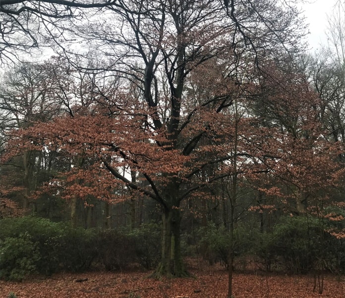 Schroeven en staaldraad