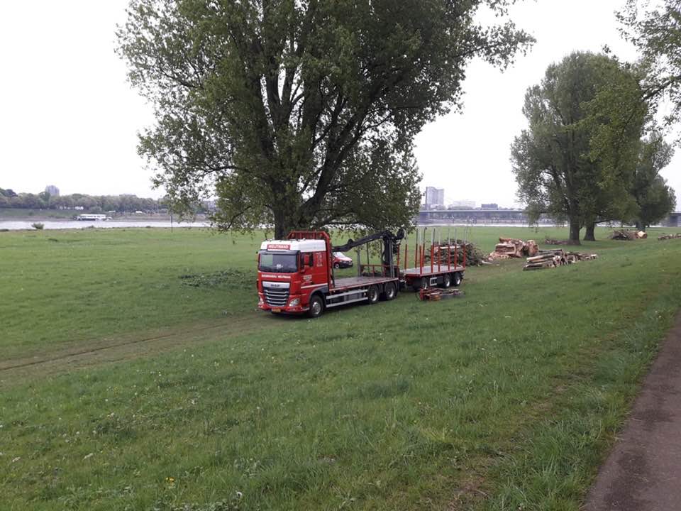 Rijnoever Dusseldorf