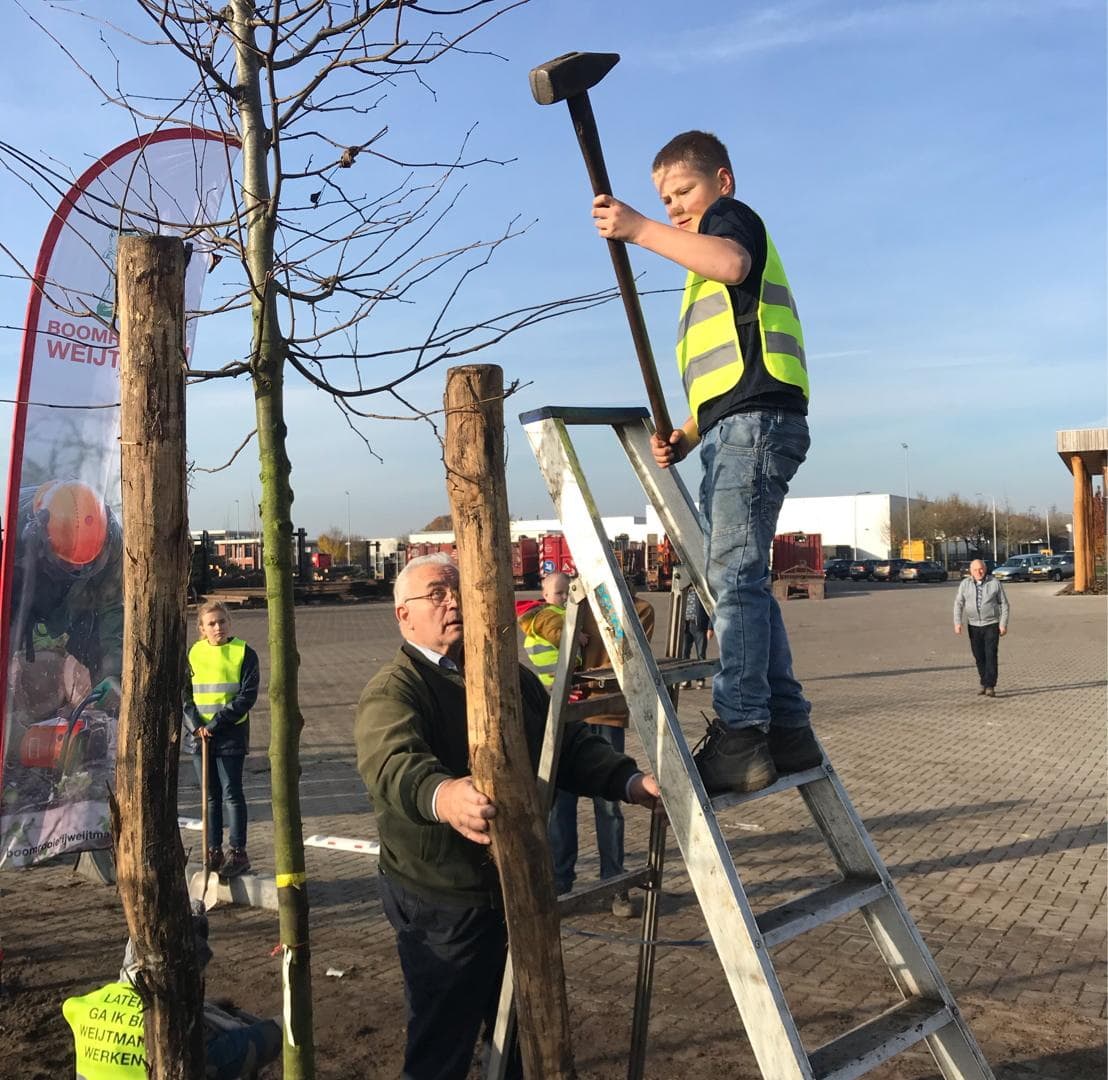 Weijtmans Boomplantdag