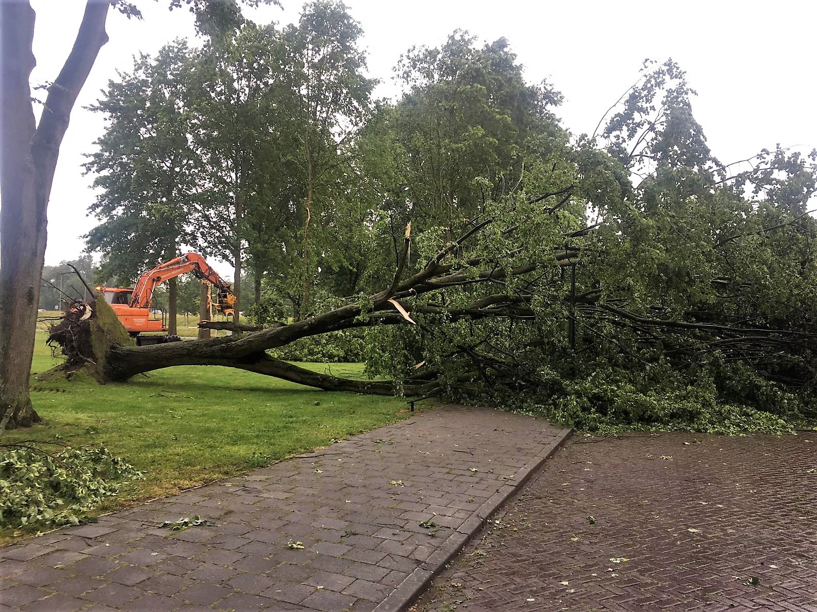 Stormschade door omgevallen bomen