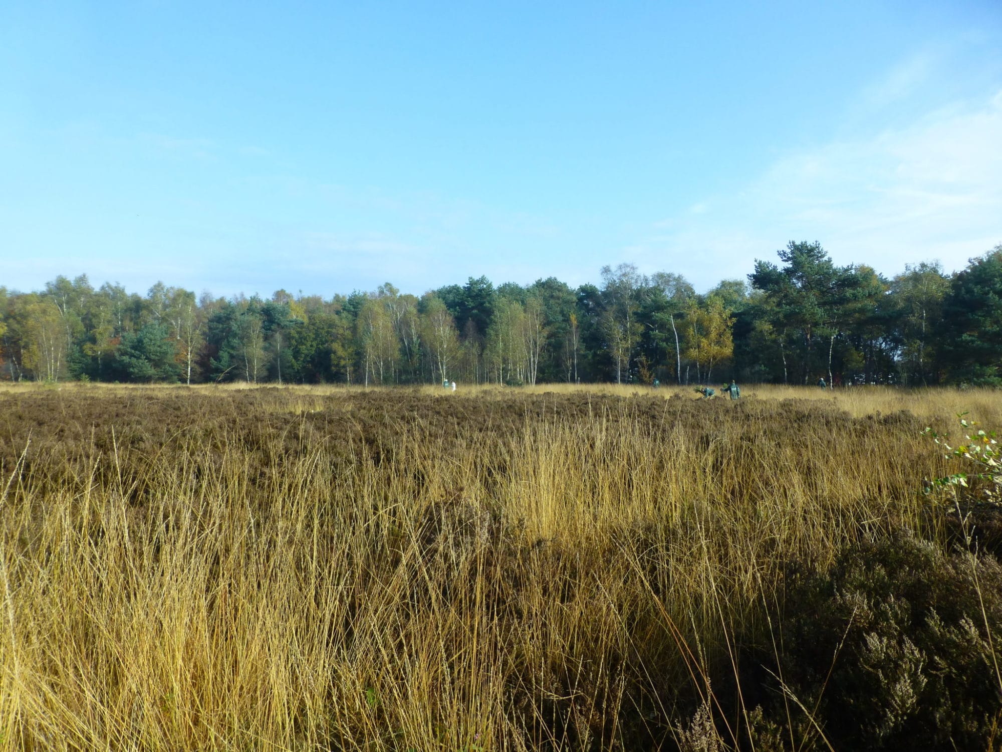 3 November Natuurwerkdag