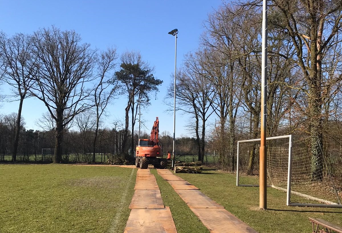 Gemeente Rijen: start boomonderhoud Sportpark.