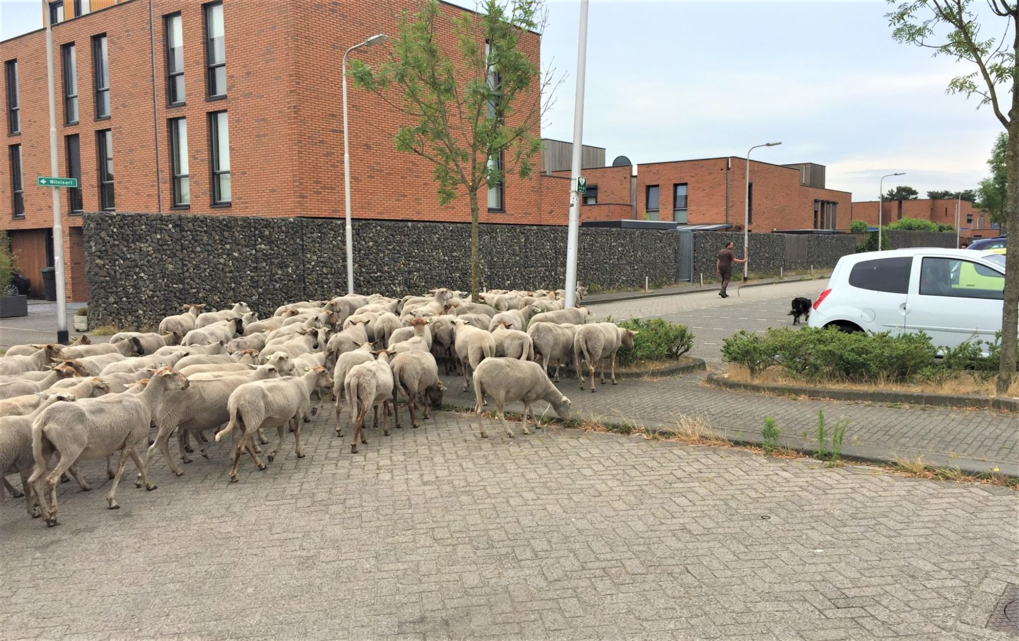 Uitbreiding personeel Weijtmans