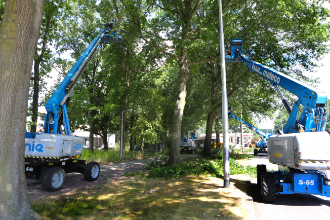 Snoeiwerk Ringbaan West Tilburg