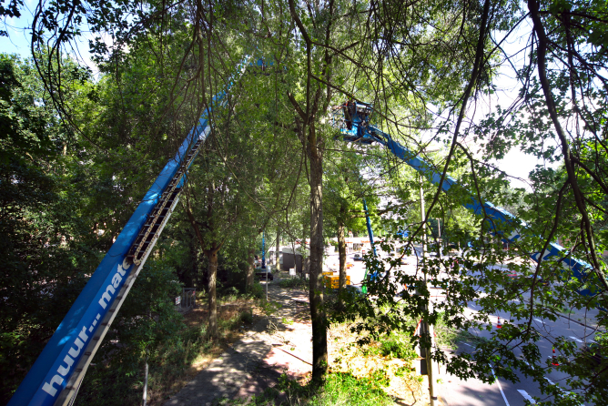 Snoeiwerk Ringbaan West Tilburg - Foto 1