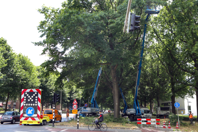 Snoeiwerk Ringbaan West Tilburg - Foto 9