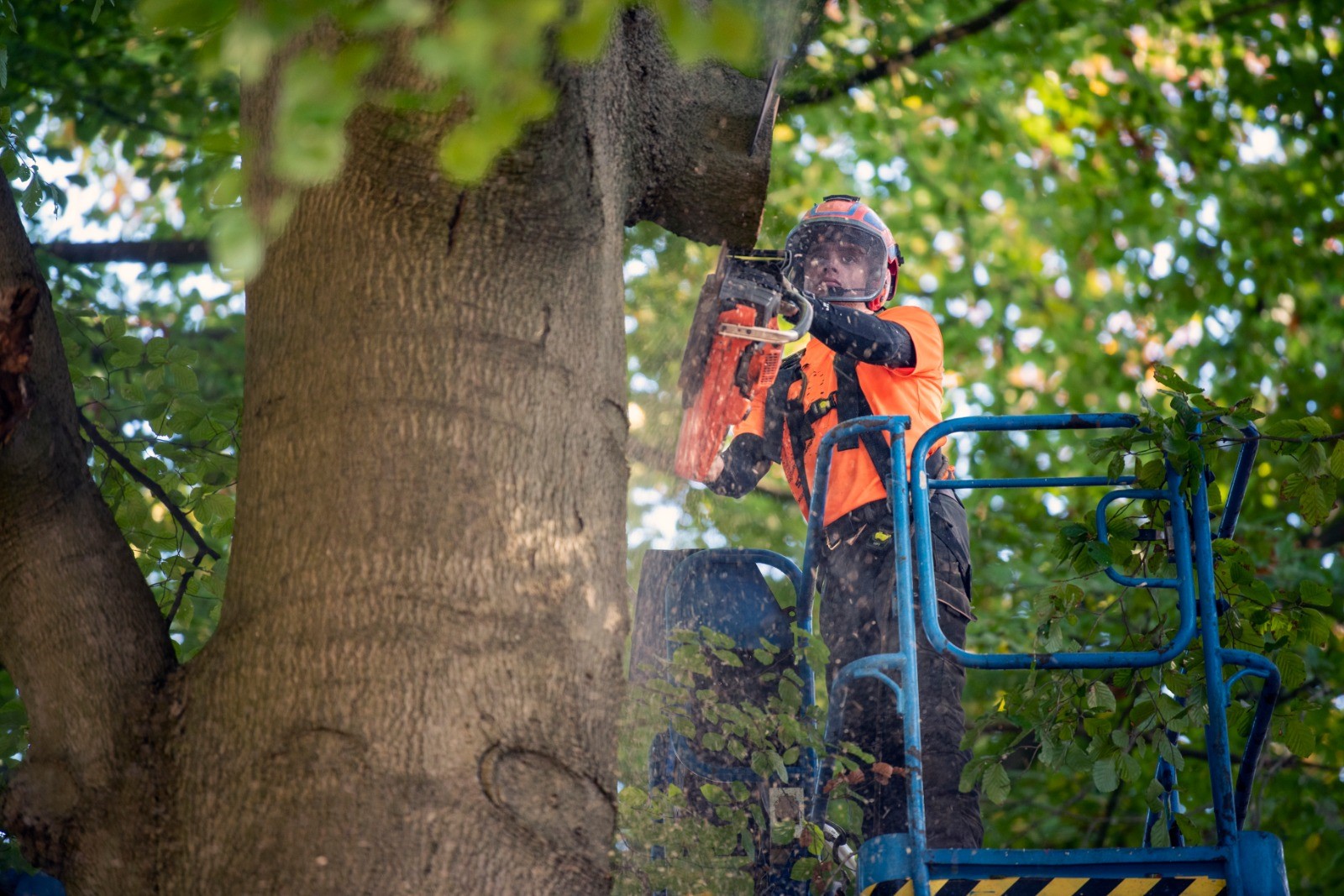 Herstel brevierpark landgoed Haarendael - Foto 2