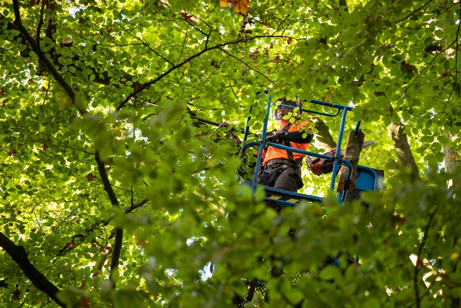 Herstel brevierpark landgoed Haarendael - Foto 3