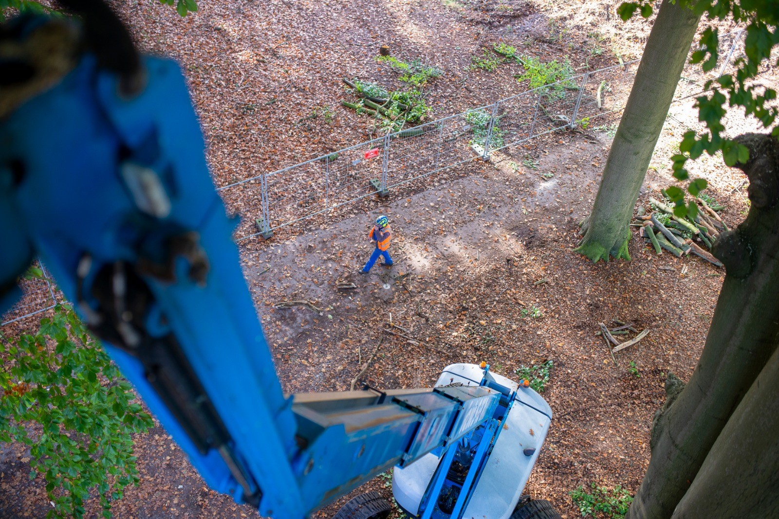 Herstel brevierpark landgoed Haarendael - Foto 6