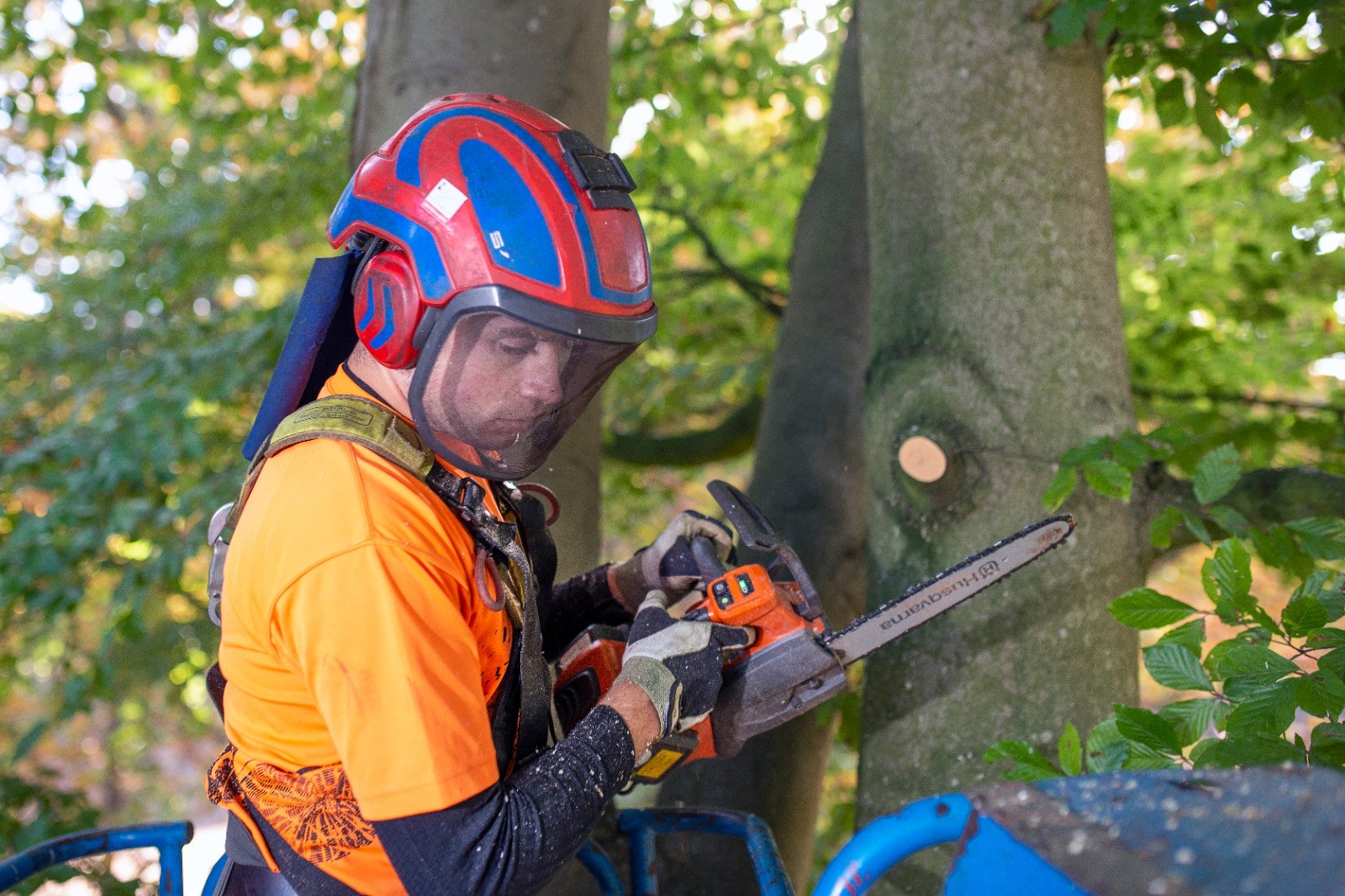 Herstel brevierpark landgoed Haarendael - Foto 7