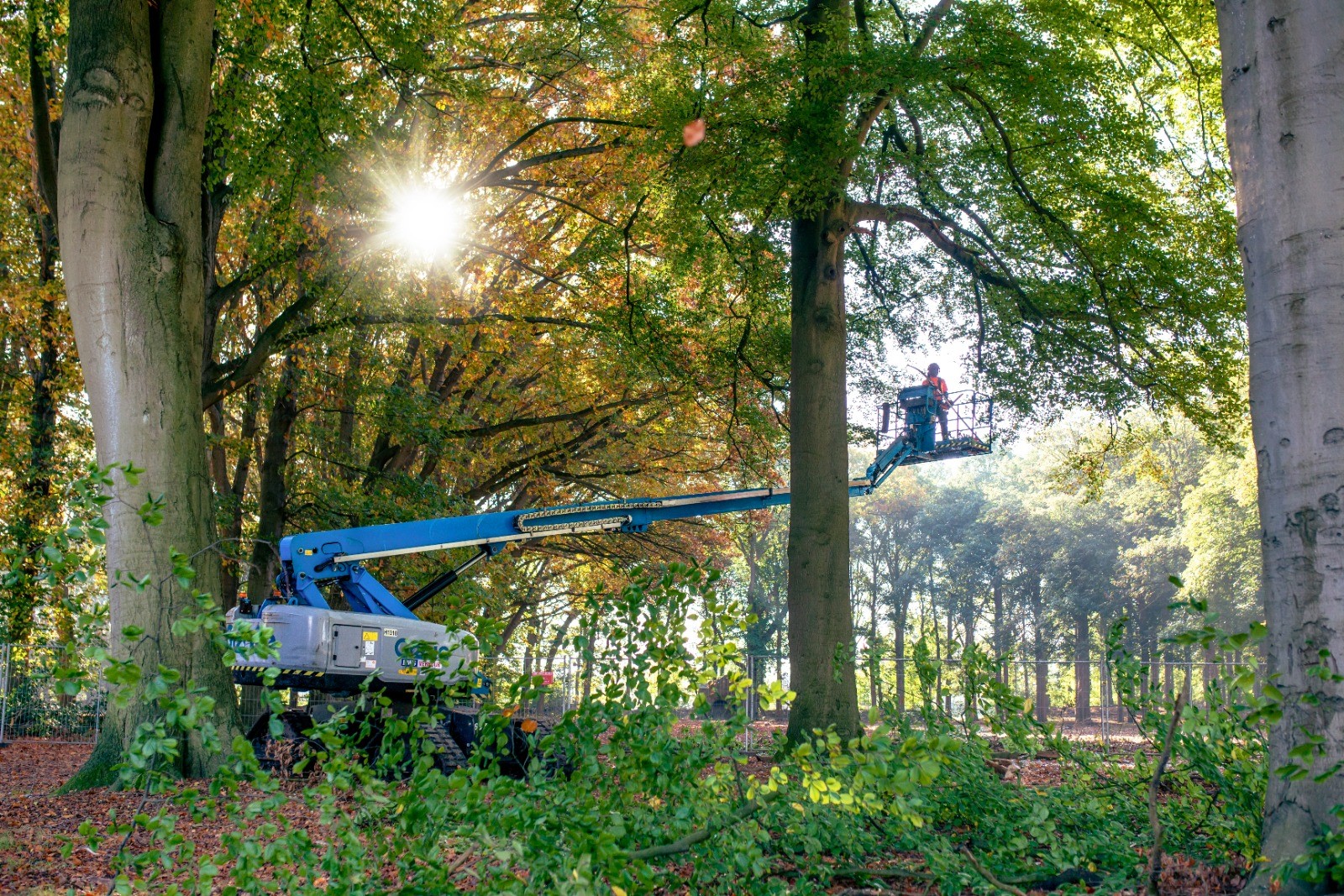 Herstel brevierpark landgoed Haarendael