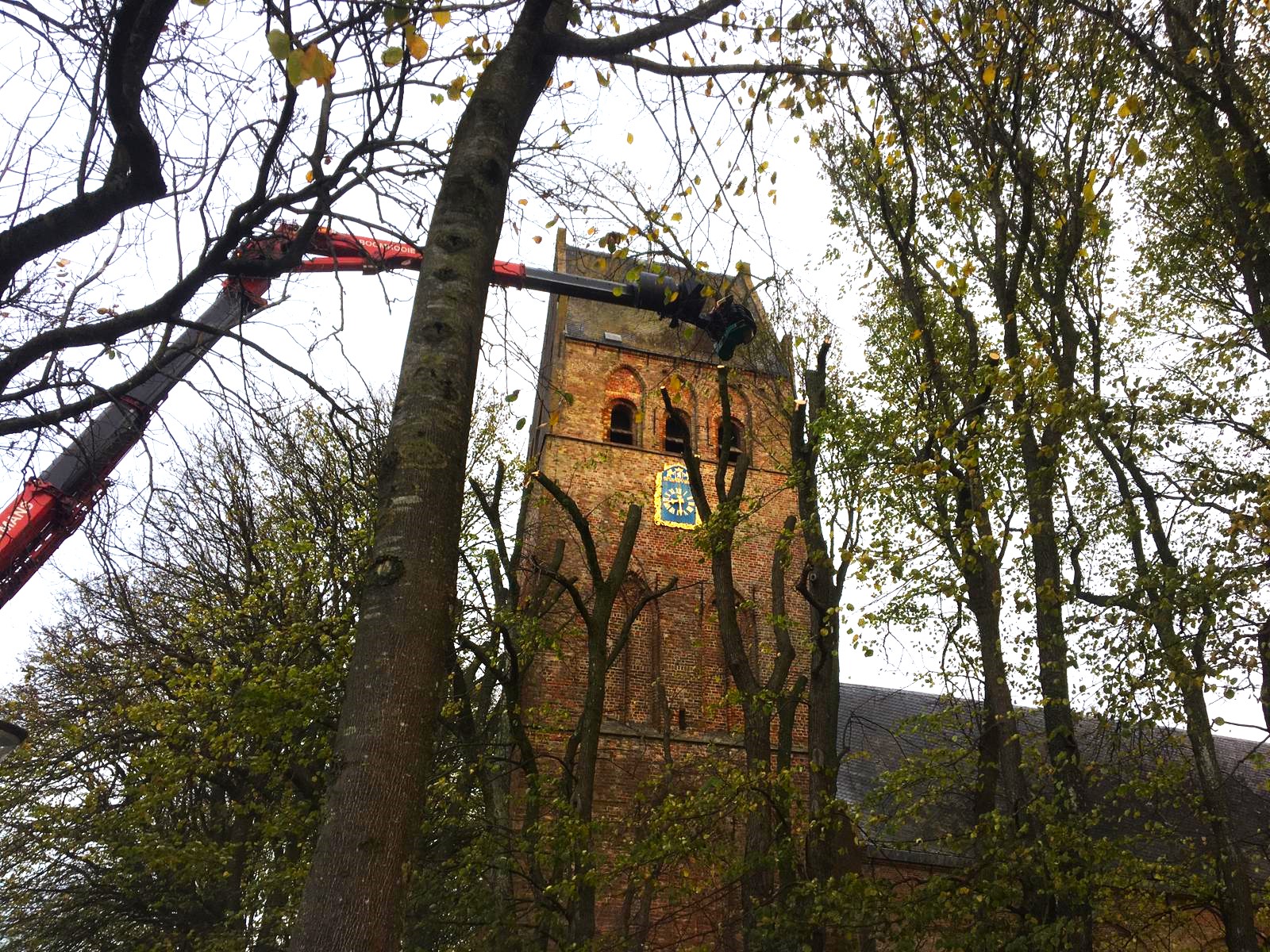 Laanbomen snoeien in het Friese Stiens.