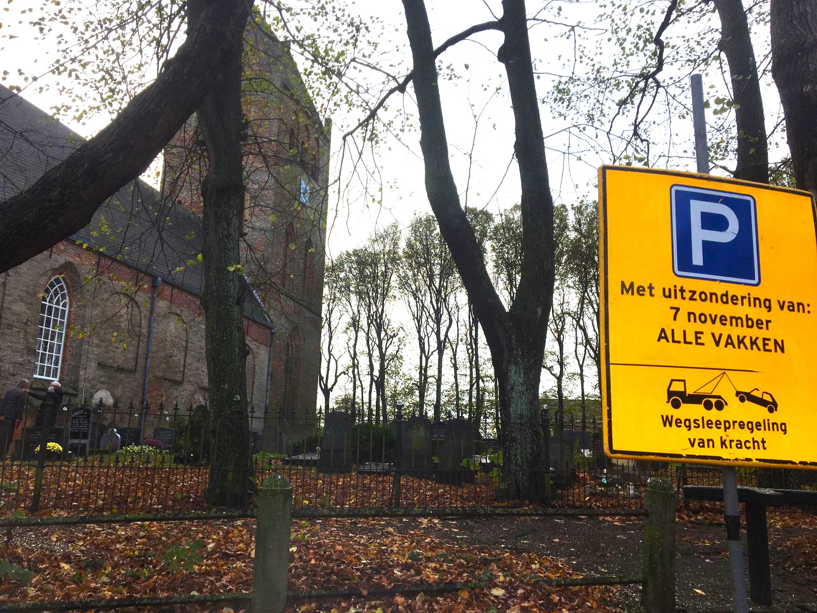 Laanbomen snoeien in het Friese Stiens. - Foto 1