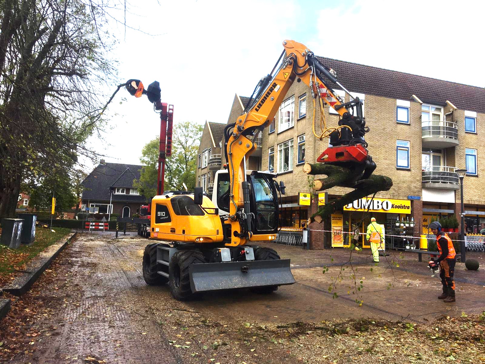Laanbomen snoeien in het Friese Stiens. - Foto 3