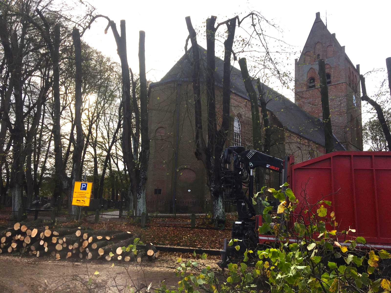 Laanbomen snoeien in het Friese Stiens. - Foto 4