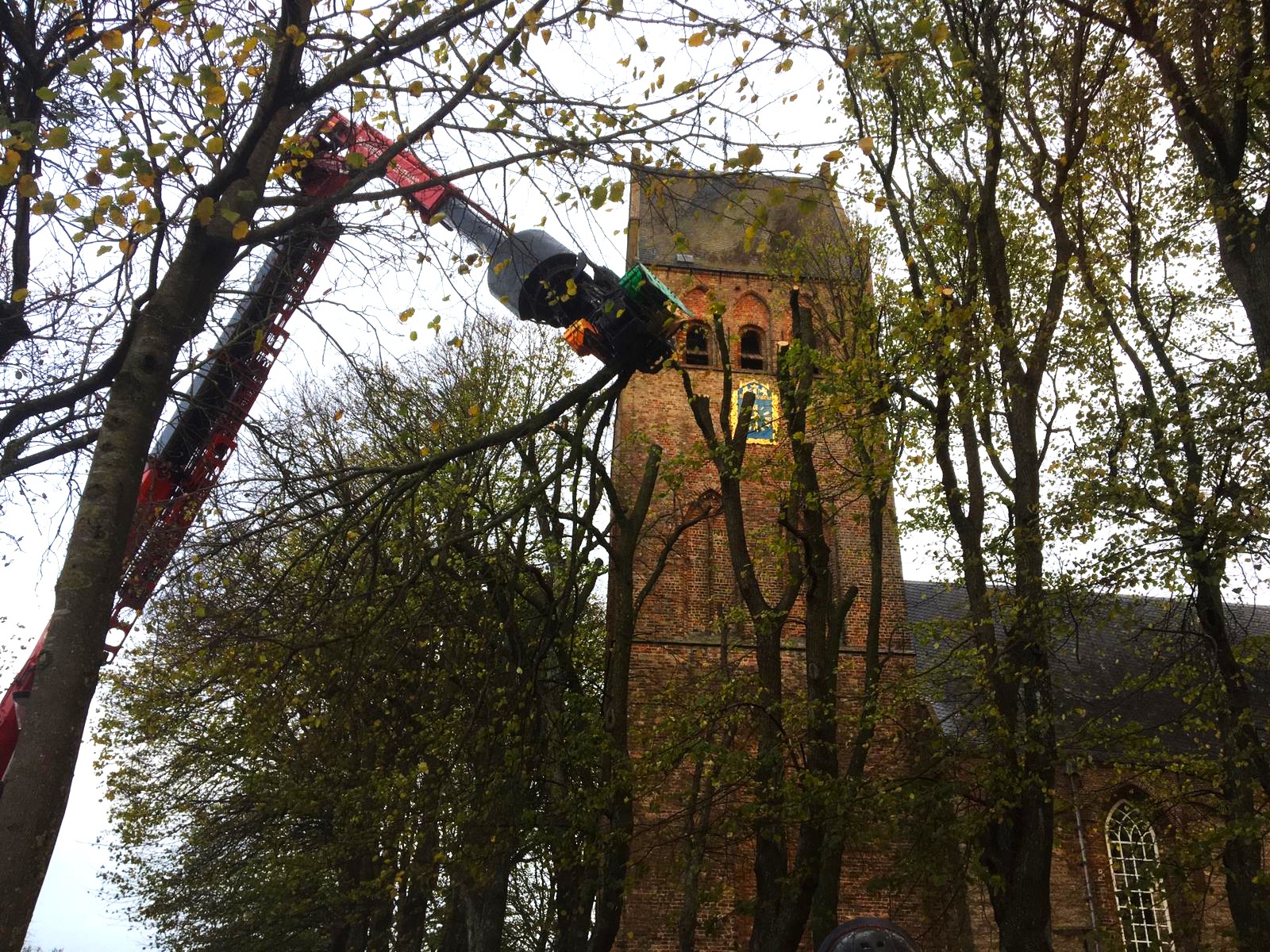 Laanbomen snoeien in het Friese Stiens. - Foto 5