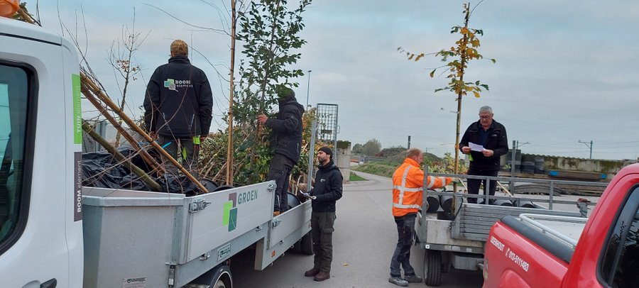 16 november landelijke boomfeestdag