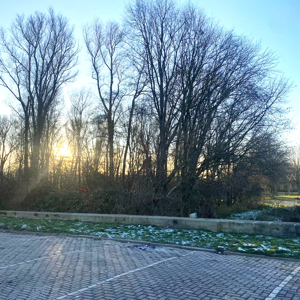 Dunning Nissewaard - Foto 1