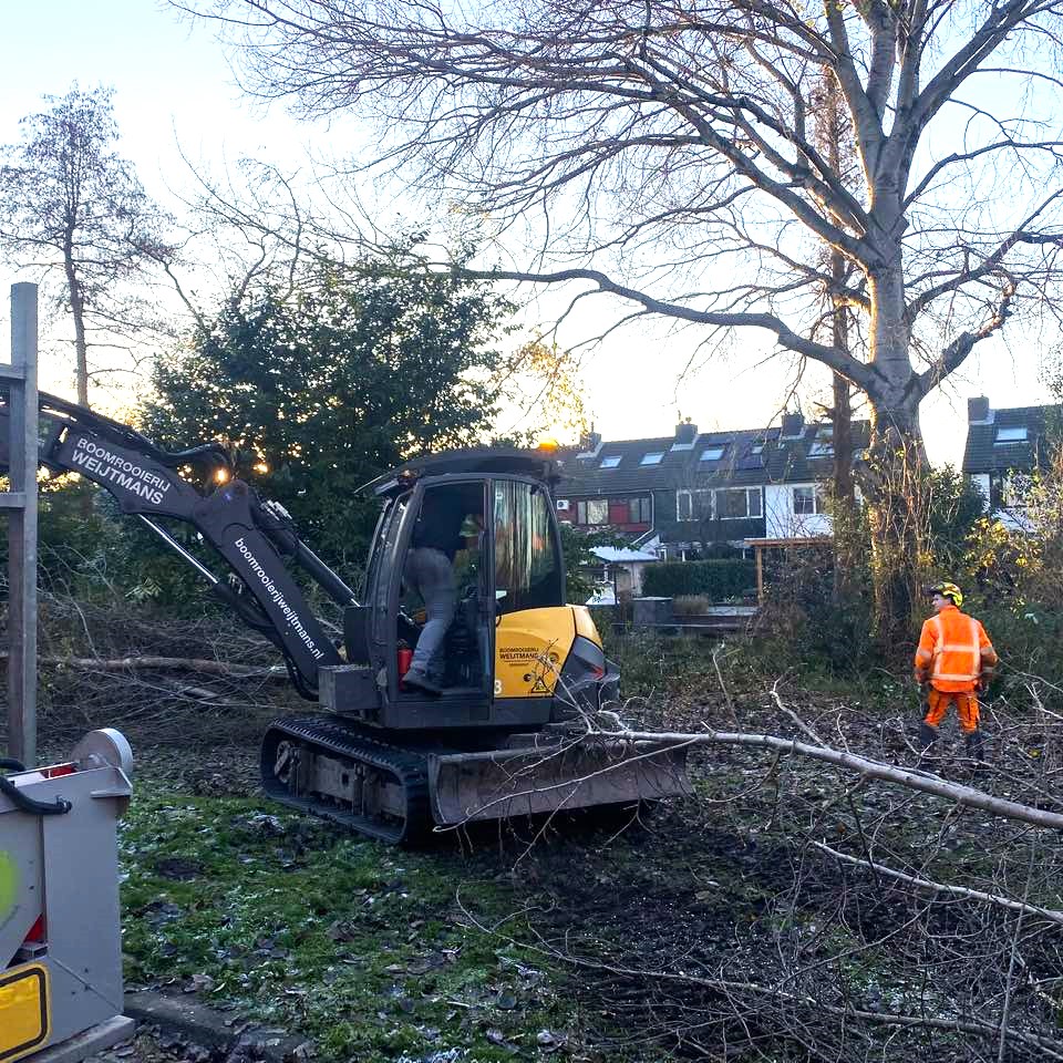 Dunning Nissewaard - Foto 2