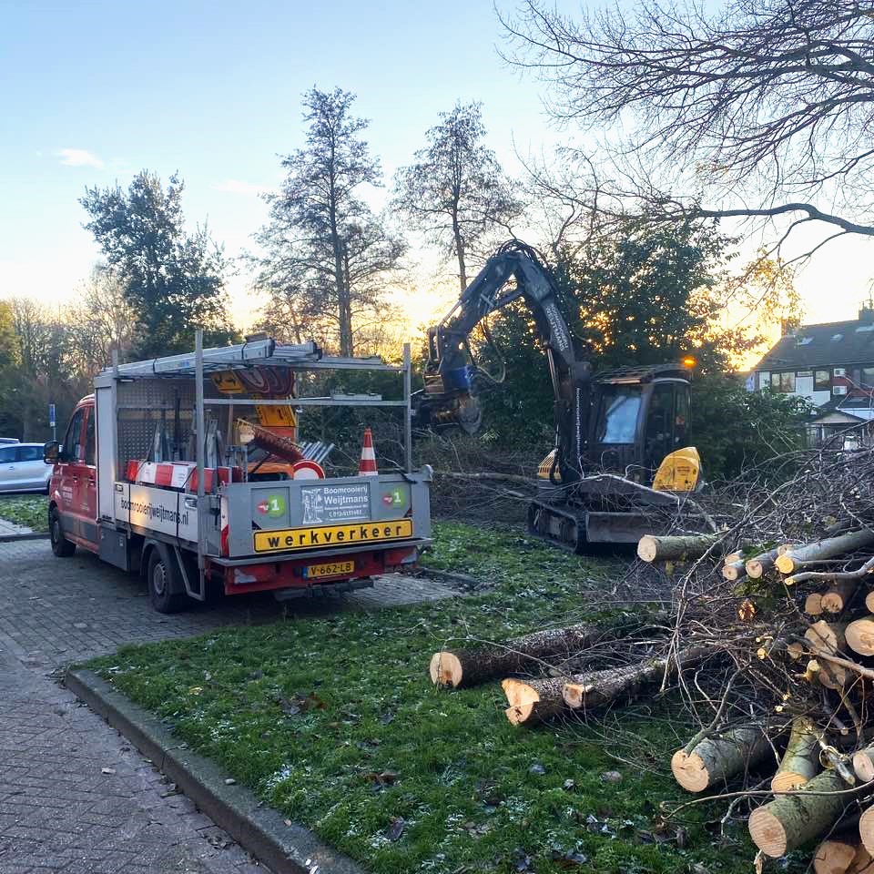 Dunning Nissewaard - Foto 3