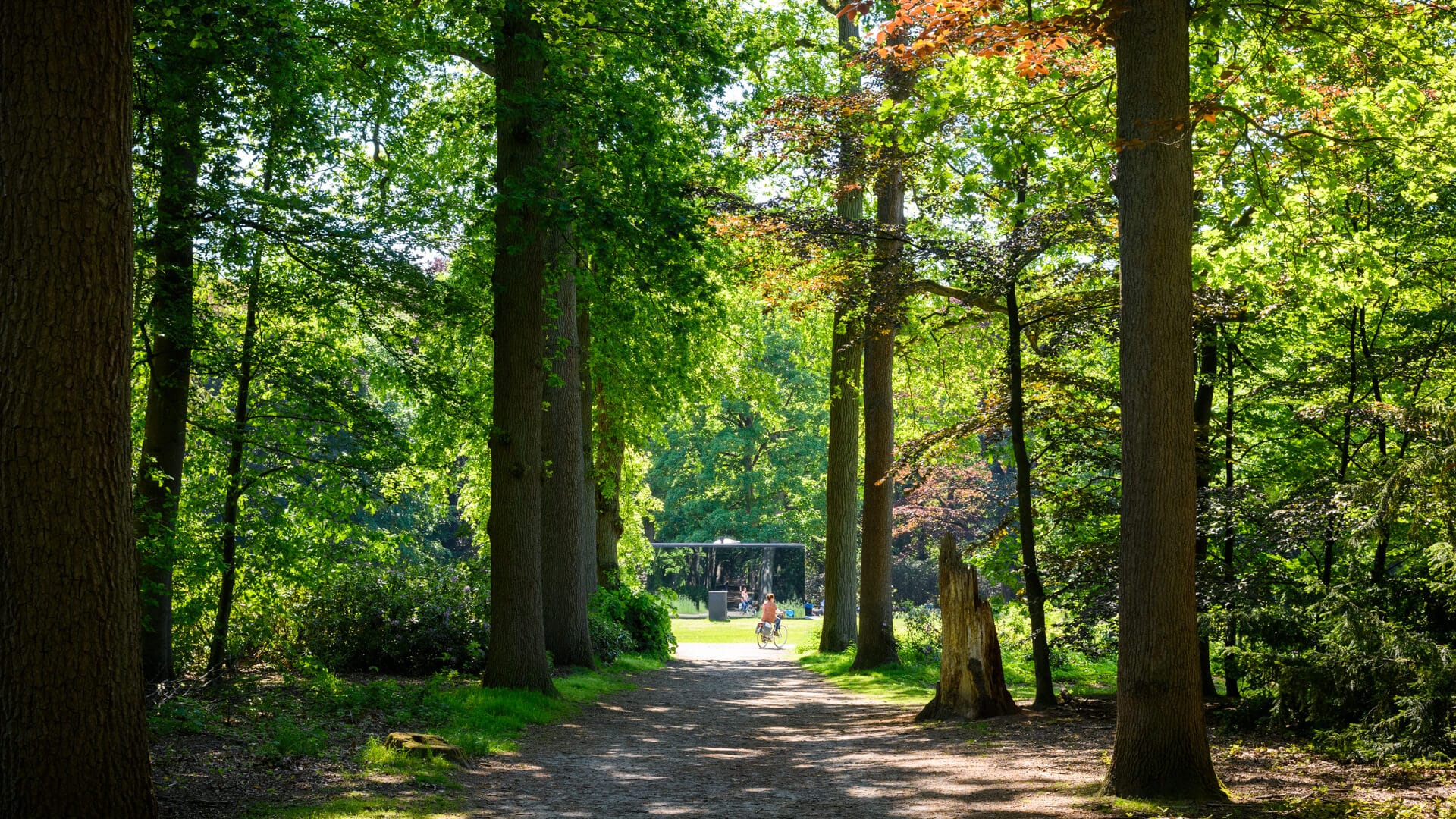 Bosbeheer: wandelen in ‘onze’ bossen.