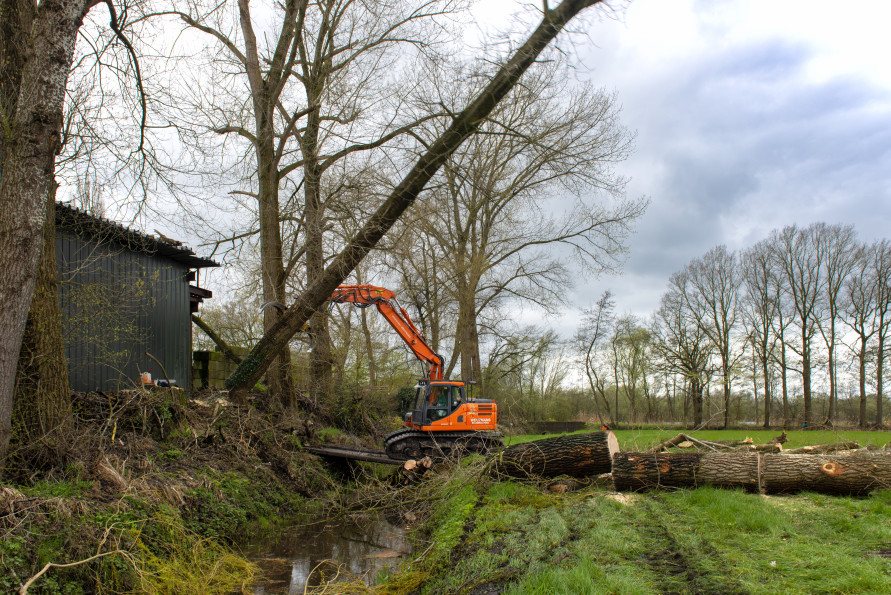 Bomen verwijderen op lastige locatie