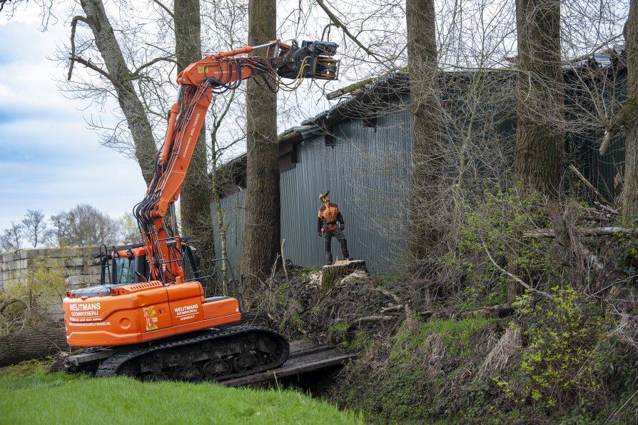 Bomen verwijderen op lastige locatie - Foto 3
