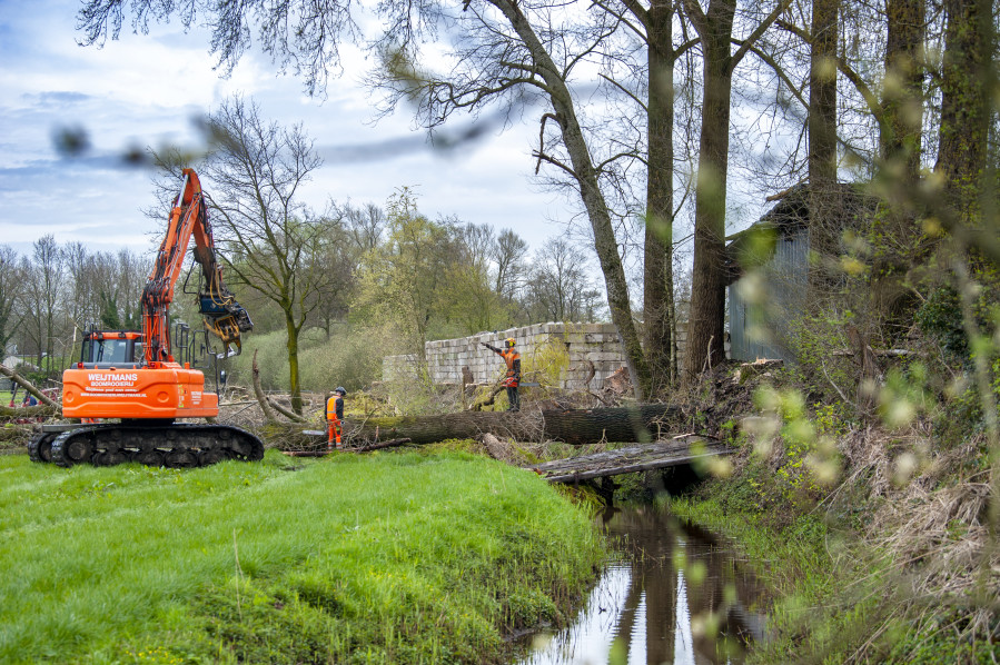 Bomen verwijderen op lastige locatie - Foto 4