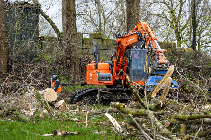 Bomen verwijderen op lastige locatie - Foto 7