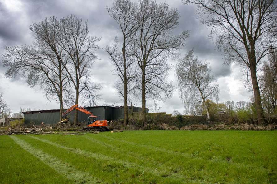Bomen verwijderen op lastige locatie - Foto 11