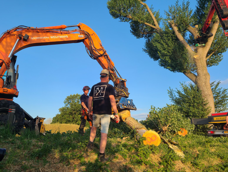 Populieren Slot Loevestein - Foto 6