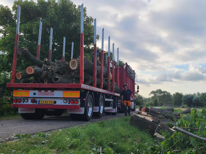 Populieren Slot Loevestein - Foto 9