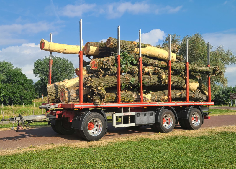 Populieren Slot Loevestein - Foto 12