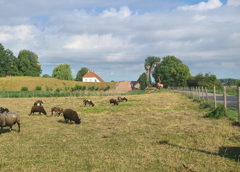 Populieren Slot Loevestein - Foto 13