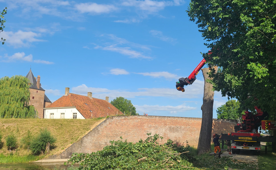 Populieren Slot Loevestein - Foto 14