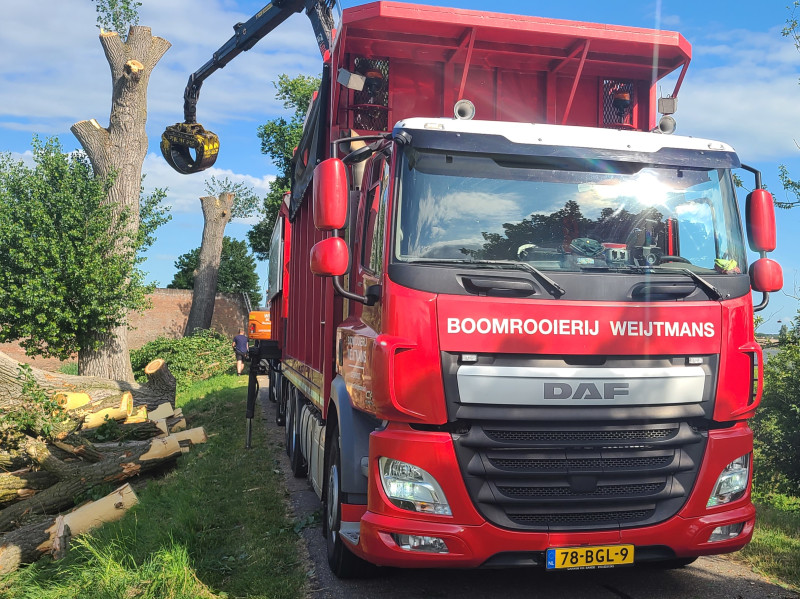 Populieren Slot Loevestein - Foto 15