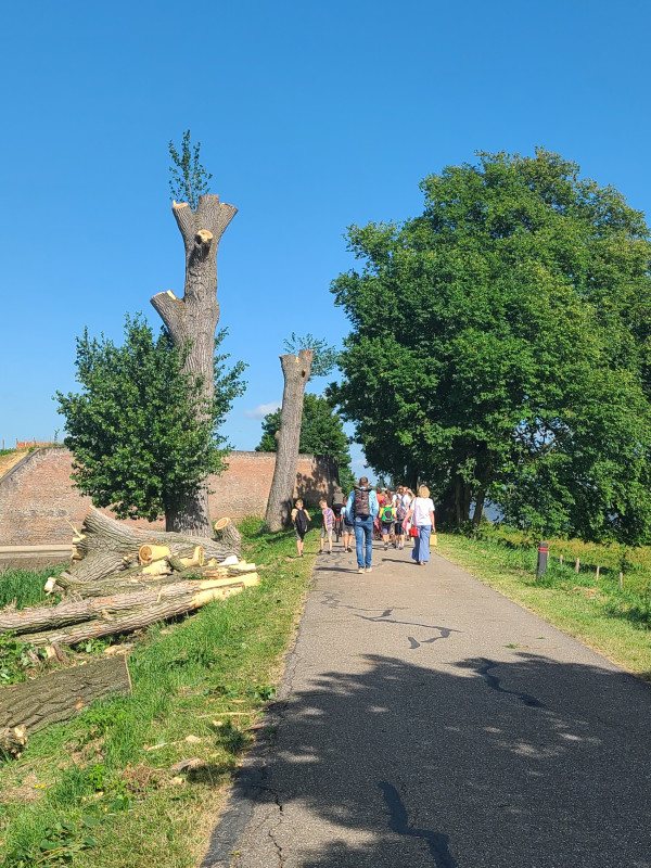 Populieren Slot Loevestein - Foto 16