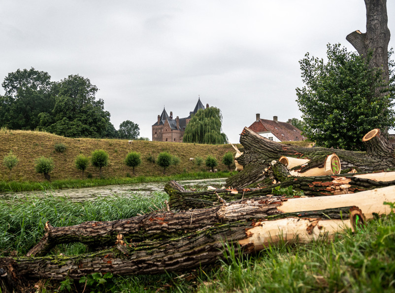 Populieren Slot Loevestein - Foto 18