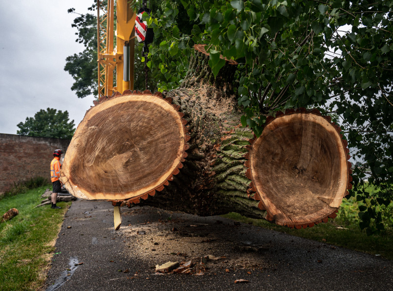 Populieren Slot Loevestein - Foto 19