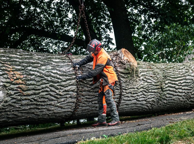 Populieren Slot Loevestein - Foto 20