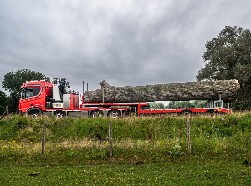 Populieren Slot Loevestein - Foto 21